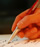 audit report can significantly increase a pensions value