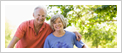 Standard annuity quote