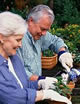 pension products for improved income at retirement
